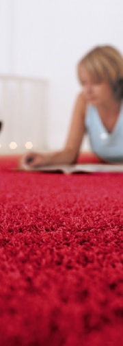 Carpet Cleaning