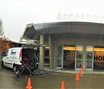 Carpet Cleaning